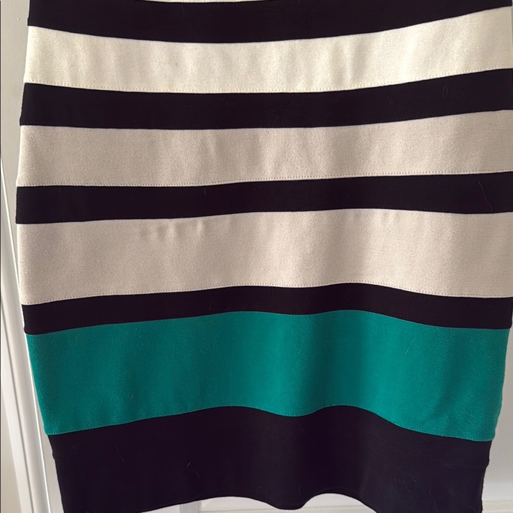 Express Dress - Picture 3 of 3